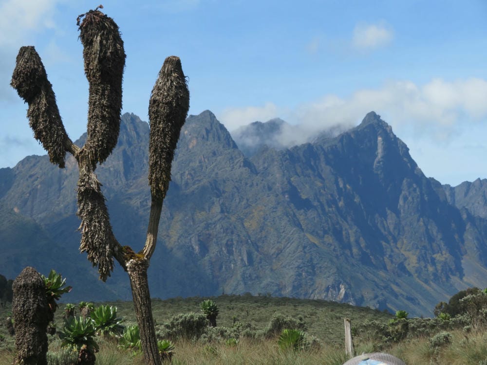 Albert Peak - 6Summits African Expeditions
