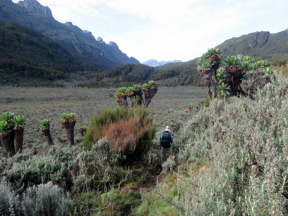 Mount Emin - 6Summits African Expeditions