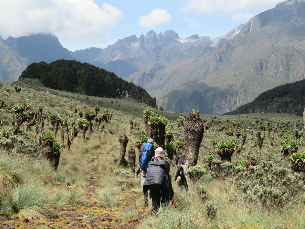 Why choose 6Summits African Expeditions